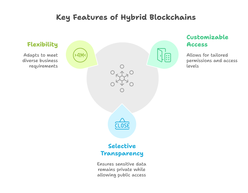 Hybrid Blockchains